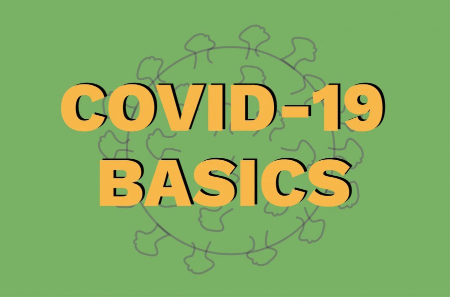 COVID-19+Basics