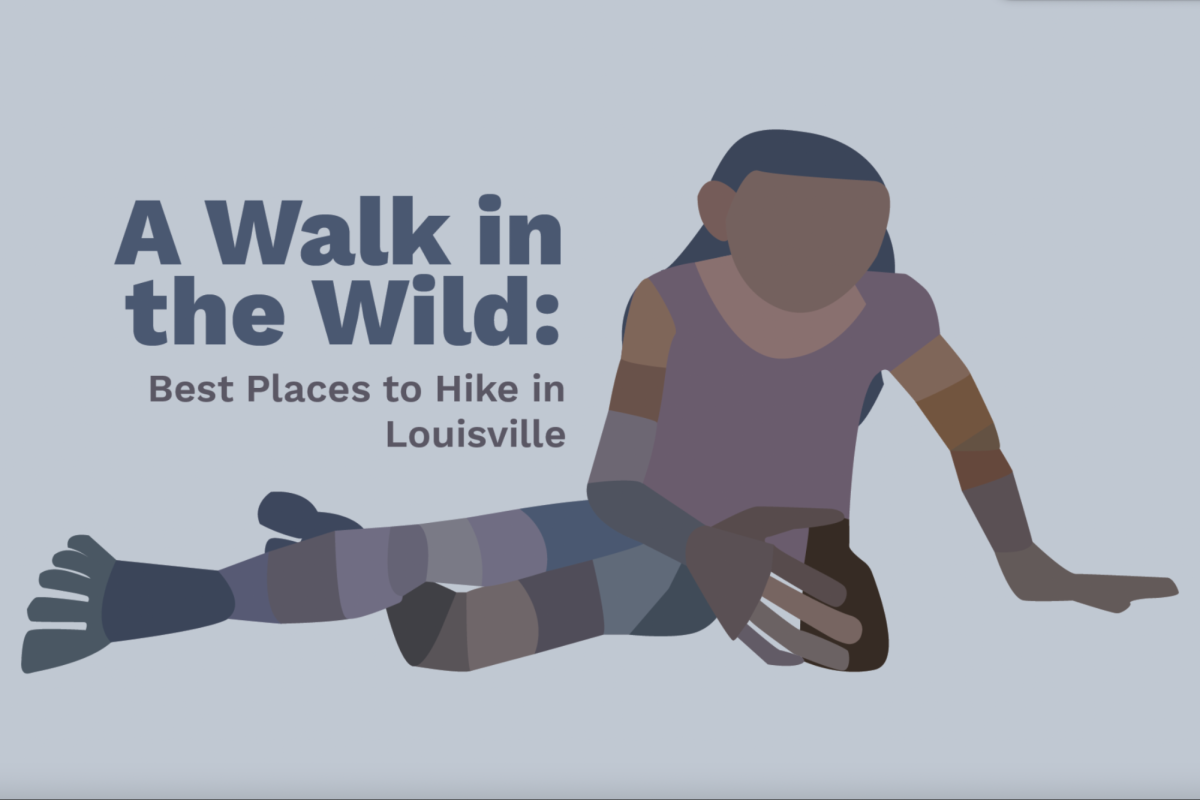 A Walk in the Wild