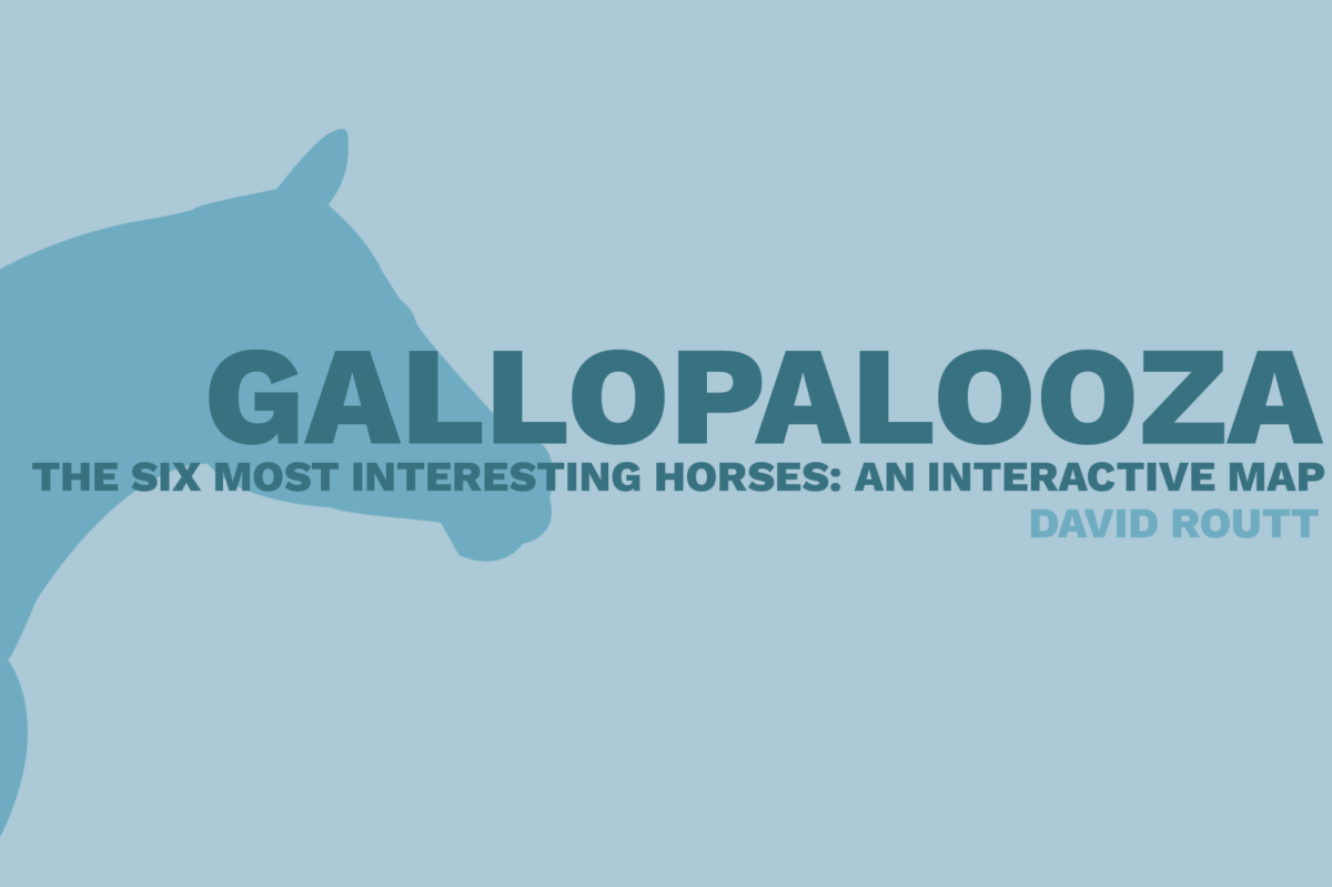 Gallopalooza: 6 of the Most Interesting Horses Around Louisville