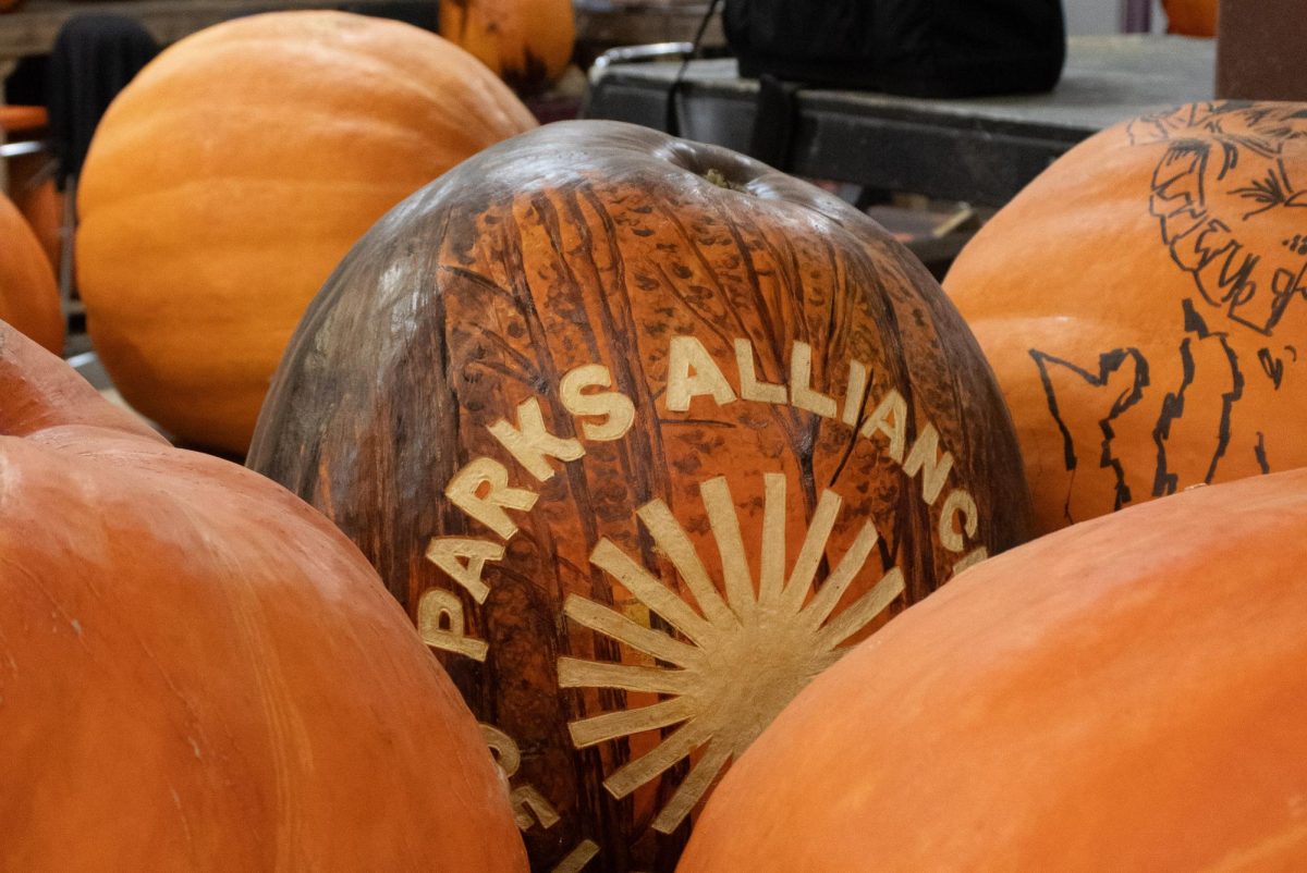 Jack O' Lantern Spectacular: A Look Behind the Scenes