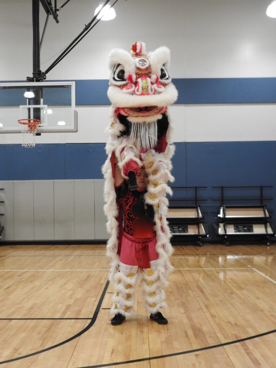 Balancing Tradition - Lion dancers Kevin Nguyen, 14, a freshman at duPont Manual High School, and Eric Dong, 20, a student at the University of Louisville, perform a powerful lift during their lion dance performance at Wilkerson Elementary School on March 21. 