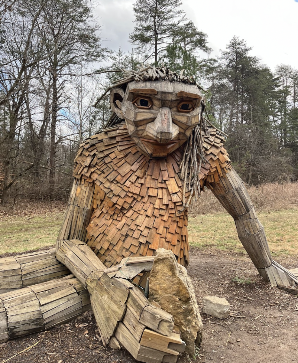 Little Elina, located at the end of the two mile forest giants trail. Photo taken on January 17th, by Frances Fendig. 